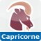 Le Capricorne en astrologie