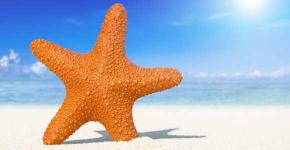 Comment chaque signe du zodiaque gère-t-il son argent ?