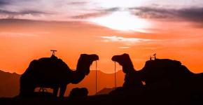 Elle est ascendant Sagittaire