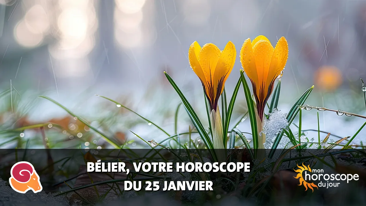 Horoscope du Bélier du samedi 25 janvier 2025