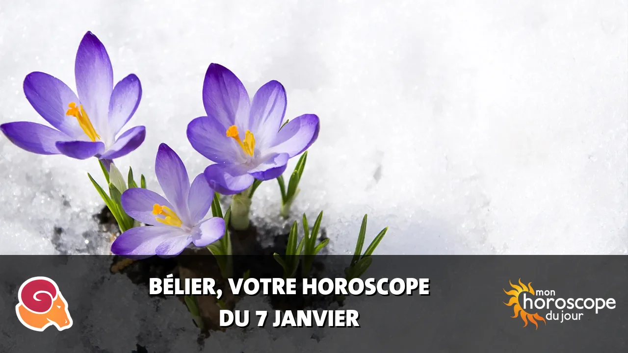 Horoscope du Bélier du dimanche 7 janvier 2024