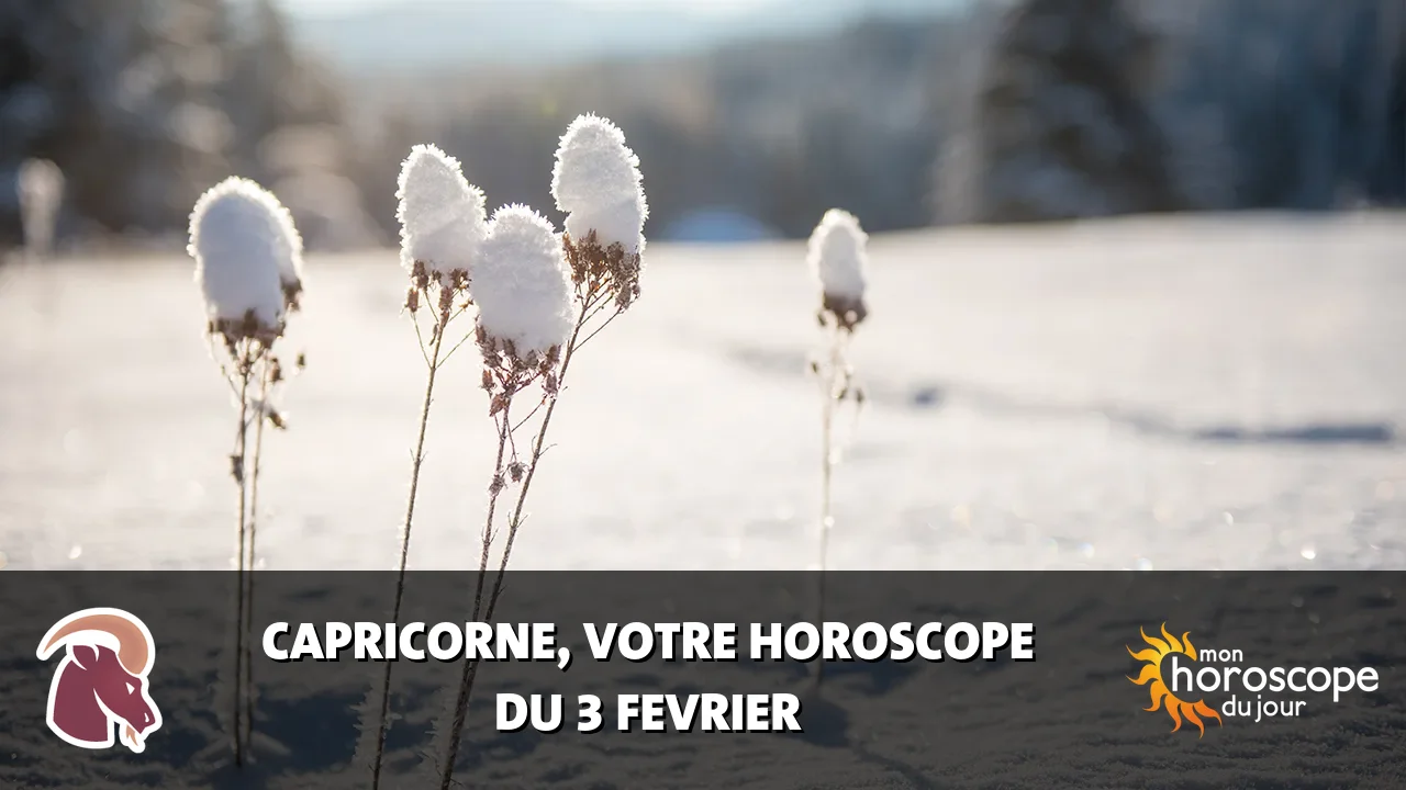 Horoscope du Capricorne du lundi 3 fevrier 2025