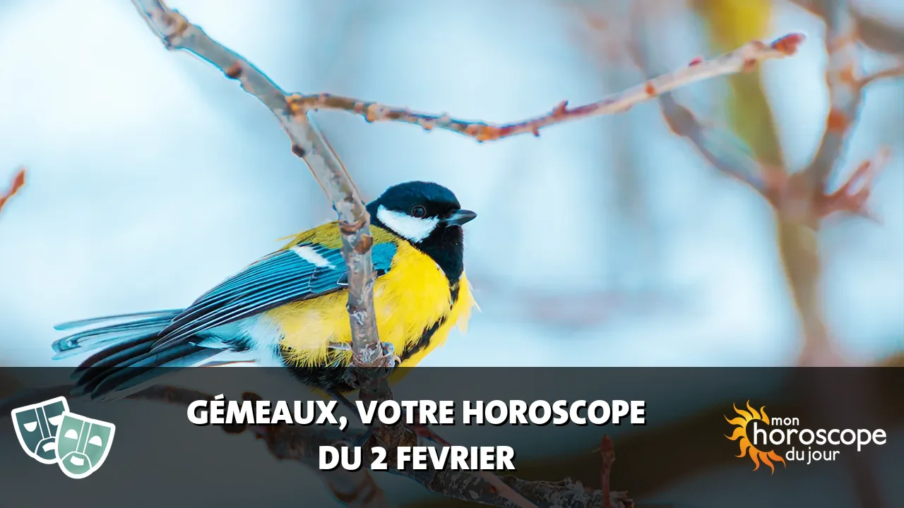 Horoscope du Gémeaux du dimanche 2 fevrier 2025