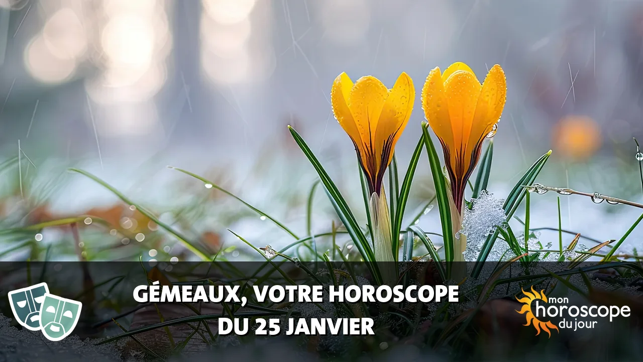 Horoscope du Gémeaux du samedi 25 janvier 2025