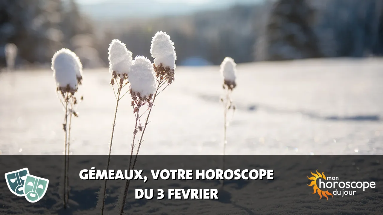 Horoscope du Gémeaux du samedi 3 fevrier 2024