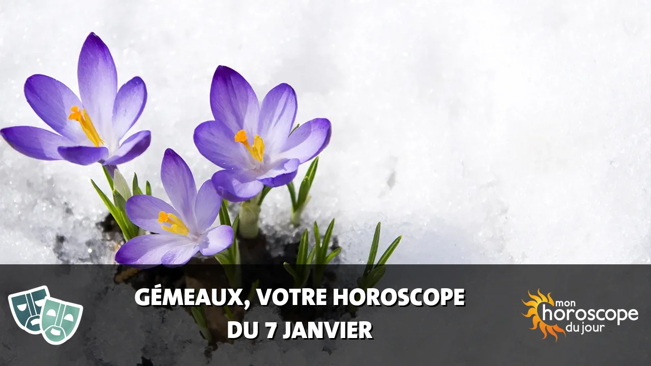 Horoscope du Gémeaux du dimanche 7 janvier 2024