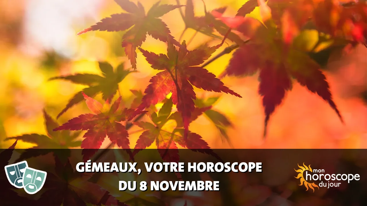 Horoscope du Gémeaux du vendredi 8 novembre 2024