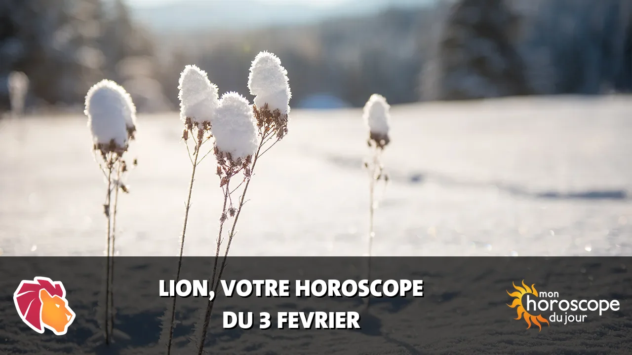 Horoscope du Lion du lundi 3 fevrier 2025