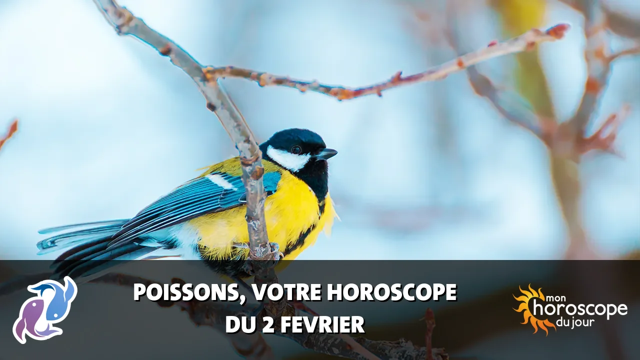 Horoscope du Poissons du dimanche 2 fevrier 2025