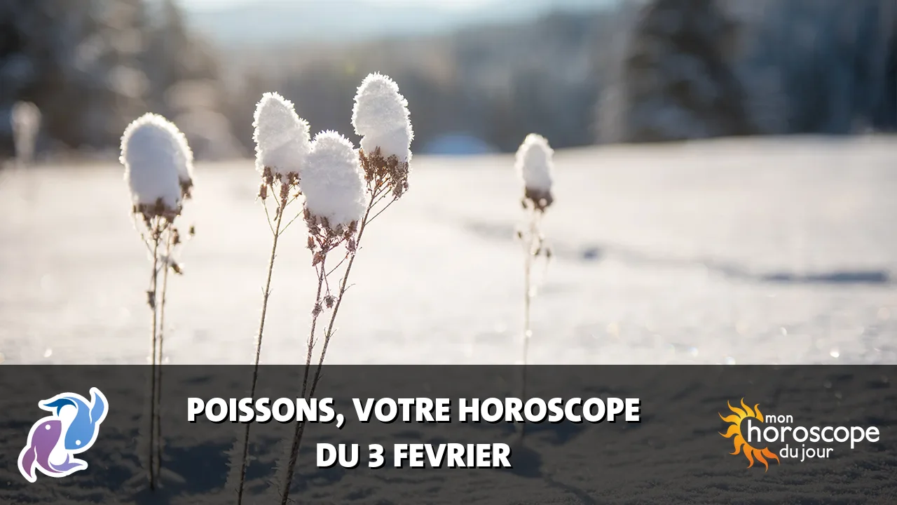 Horoscope du Poissons du lundi 3 fevrier 2025