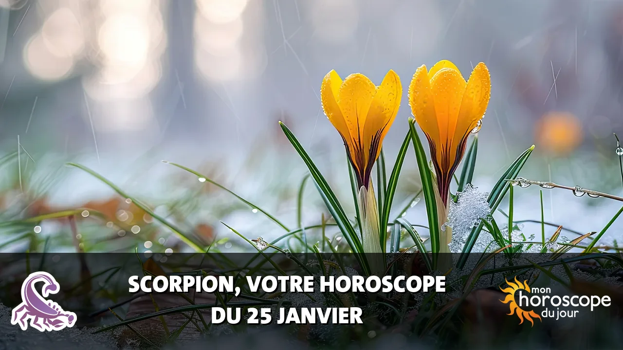 Horoscope du Scorpion du samedi 25 janvier 2025
