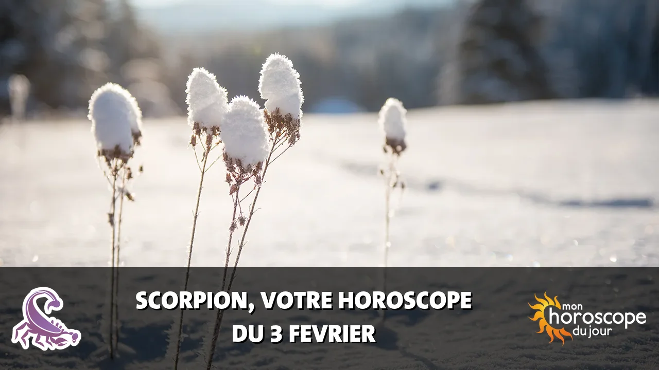 Horoscope du Scorpion du lundi 3 fevrier 2025