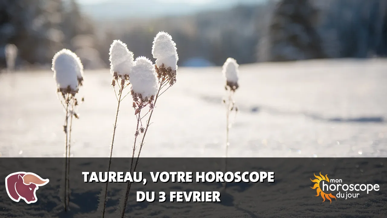 Horoscope du Taureau du lundi 3 fevrier 2025