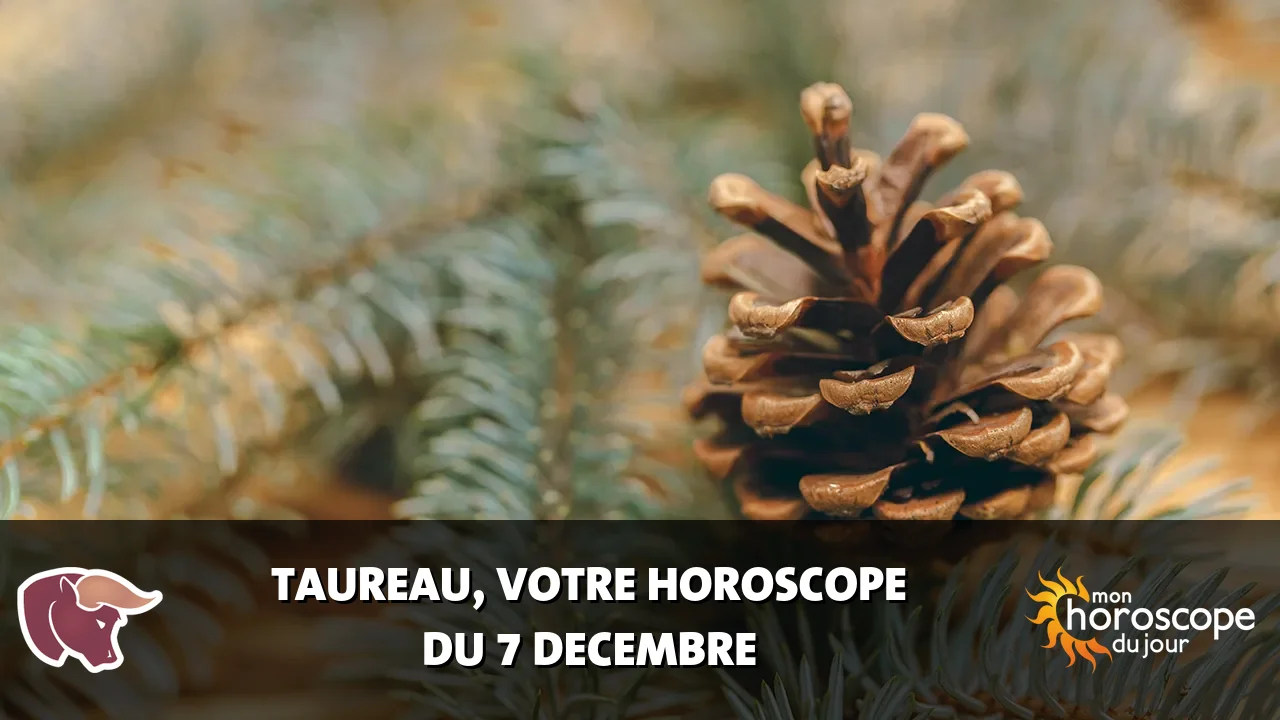 Horoscope du Taureau du samedi 7 decembre 2024