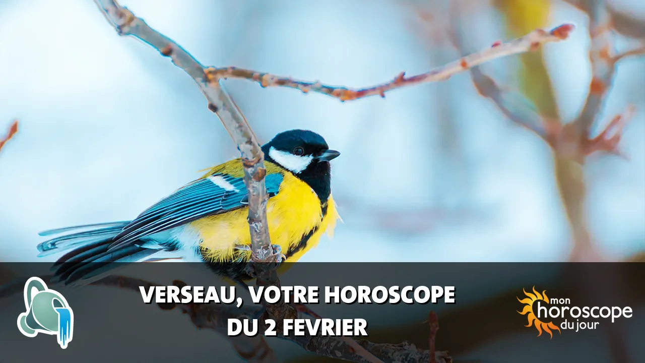 Horoscope du Verseau du dimanche 2 fevrier 2025