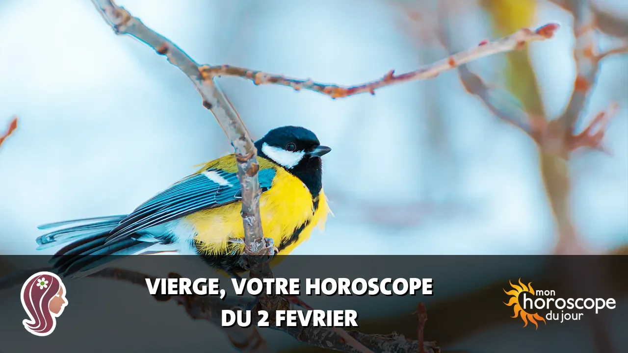 Horoscope de la Vierge du vendredi 2 fevrier 2024