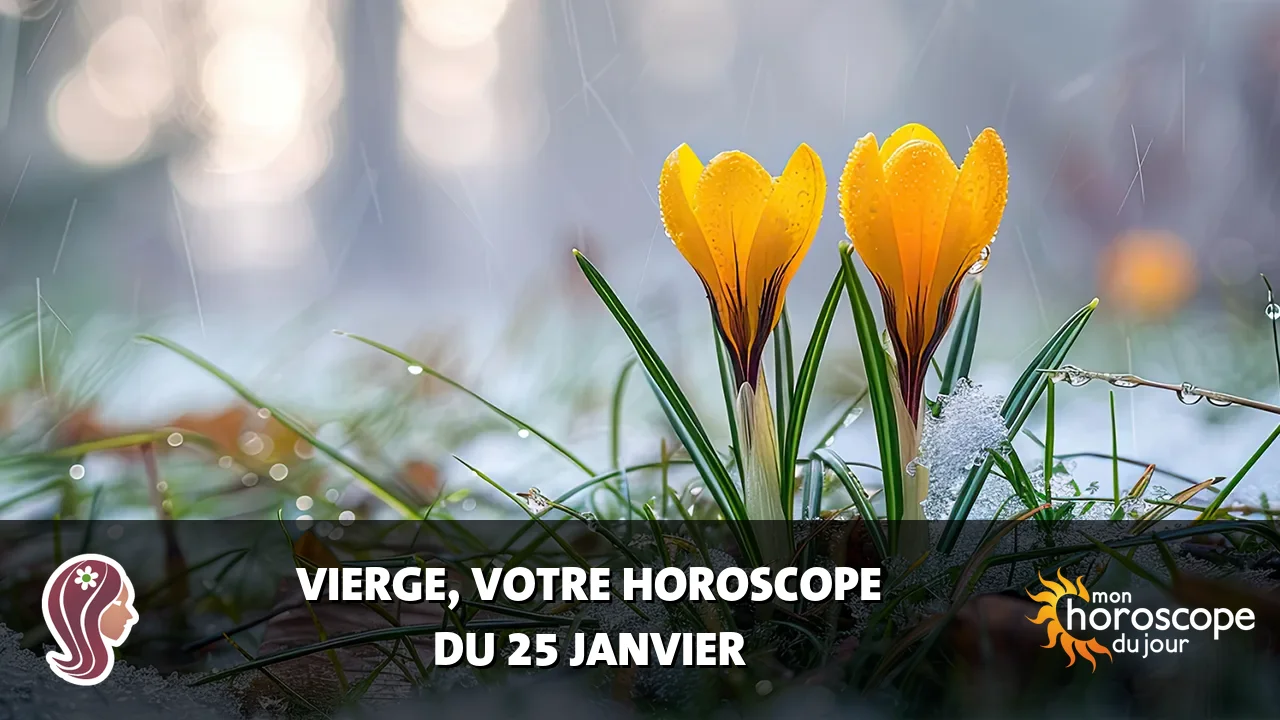 Horoscope de la Vierge du samedi 25 janvier 2025