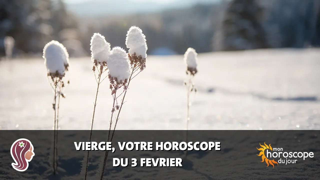 Horoscope de la Vierge du lundi 3 fevrier 2025