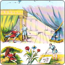 Tarot Lenormand - Dix de Carreau
