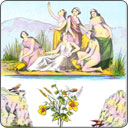 Tarot Lenormand - Deux de trèfle