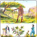 Tarot Lenormand - Trois de Cœur