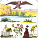 Tarot Lenormand - Huit de Cœur