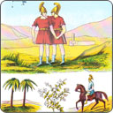 Carte Lenormand - Trois de Carreau