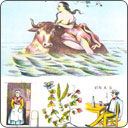 Carte Lenormand - l'As de Pique
