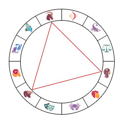 Analogie SOLEIL/ LION