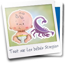 Mieux Comprendre Votre Bebe Scorpion 100 Gratuit Mieux Comprendre Votre Bebe Scorpion 100 Gratuit