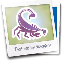 Astrology ascendant and descendant Astrology ascendant and descendant