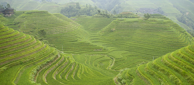 Vous aimez l'astrologie chinoise? Parcourez votre horoscope quotidien chinois de ce jeudi 22 Janvier pour tout savoir !