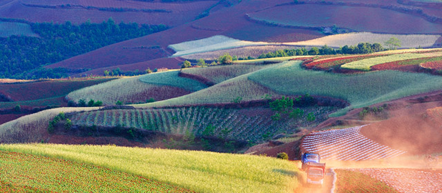 Découvrez les prévisions Astro Chinoises en amour, argent, forme, travail, famille, vie-sociale pour ce mercredi 18 Février!