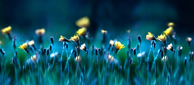 Pas besoin de baguette pour lire son horoscope quotidien chinois! Parcourir celui du 26 Février!