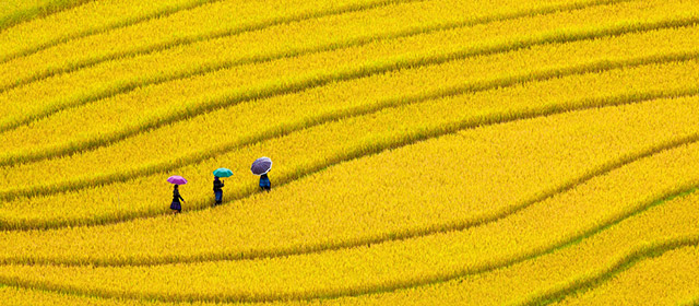 Quoi de plus facile que de rester serein ce jour, 4 Mars, avec l'horoscope quotidien chinois! Et 100% gratuit!