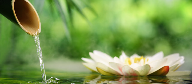 Pas besoin de parler chinois pour lire les présages de son signe chinoisde ce samedi 7 Mars!