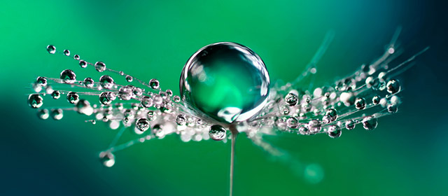 Plus de secret pour vous en Amour avec l'horoscope quotidien chinois de ce 8 Mars!