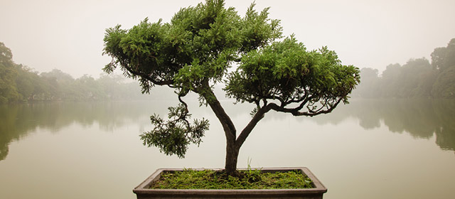 L'horoscope quotidien chinoisdu 10 Mars est arrivé : parcourez-le pour tout savoir des astres chinois !