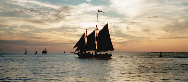 Ce 5 Avril, nous vous ofrons les prévisions de votre signe du zodiaque chinois !