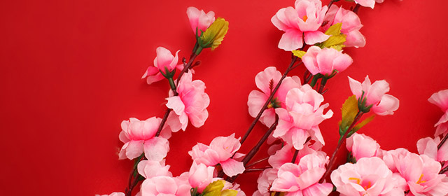 Etes-vous en forme ce vendredi 8 Mai? Découvrez-le avec notre horoscope quotidien chinois gratuit !