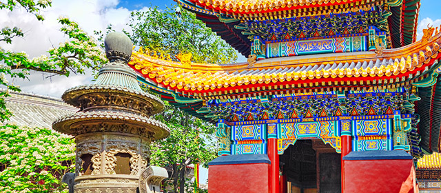 L'horoscope chinois vous donne des prévisions complètes et gratuites pour les 12 signes chinois pour ce vendredi 12 Juin!