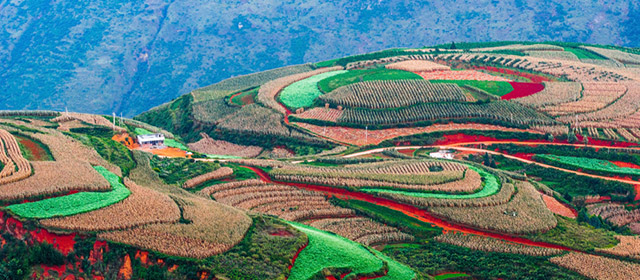 Prenez du recul avec l'horoscope hebdo chinois du