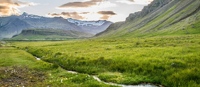 Un démarrage en douceur pour cette journée du : lisez votre horoscope quotidien chinois!