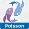Poissons: portrait et profil astrologique