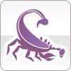 Compatibilité amoureuse du Scorpion avec un Scorpion