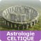 Astrologie Celtique et votre arbre protecteur