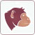 Singe