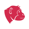 Singe