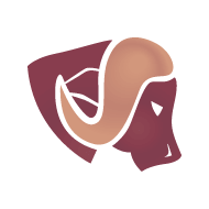 Boeuf