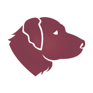 Chien